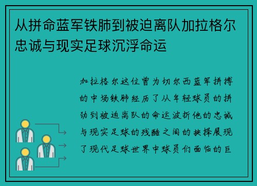 从拼命蓝军铁肺到被迫离队加拉格尔忠诚与现实足球沉浮命运 从拼命蓝军铁肺到被迫离队加拉格尔忠诚与现实足球沉浮命运